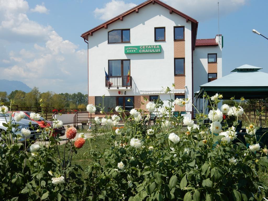 Pensiunea Cetatea Craiului Rîşnov Exterior foto