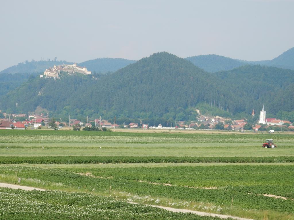Pensiunea Cetatea Craiului Rîşnov Exterior foto