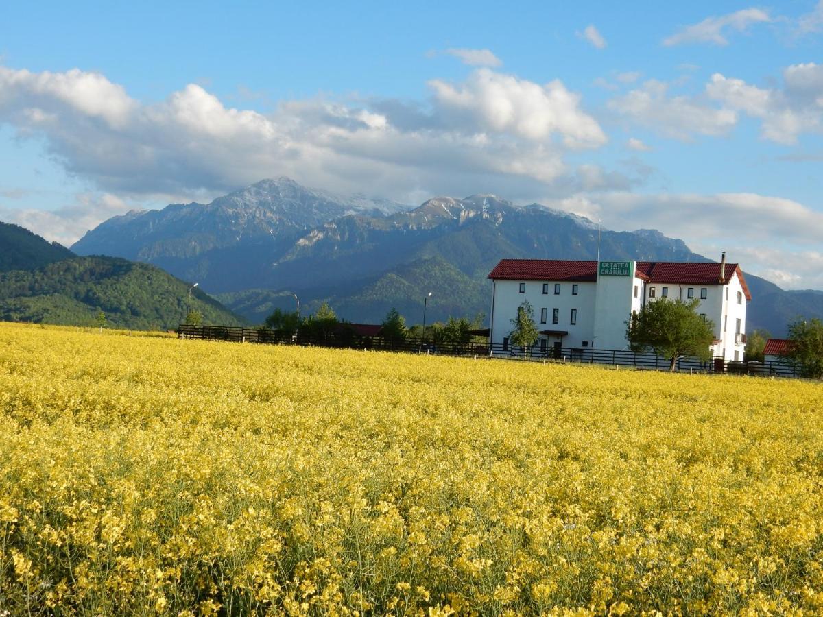 Pensiunea Cetatea Craiului Rîşnov Exterior foto