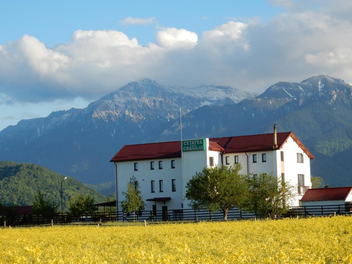 Pensiunea Cetatea Craiului Rîşnov Exterior foto